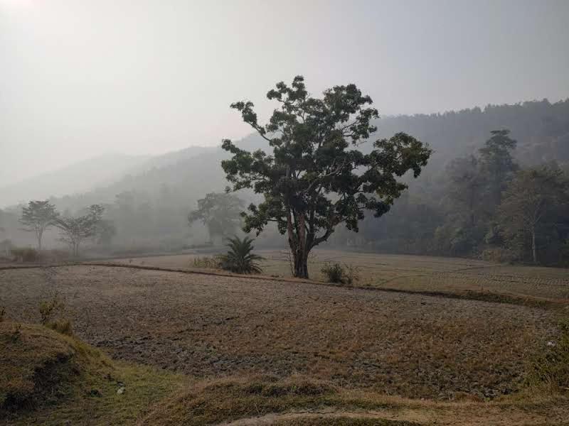 Kurchi Homestay Ghatshila 외부 사진